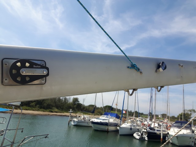 20190829_124718.jpg