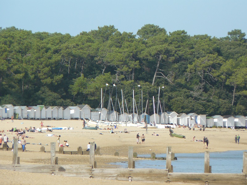 P1050946.jpg