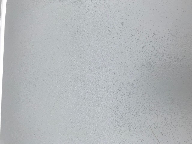 Photo 2.jpg
