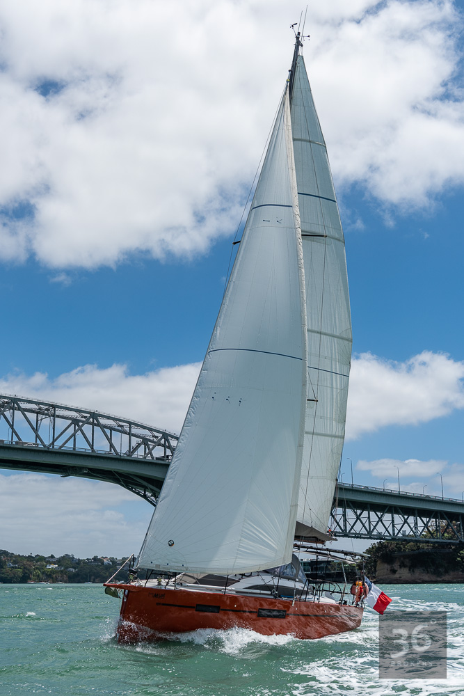 CC191219-262.jpg