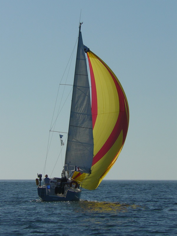 P1060012.jpg