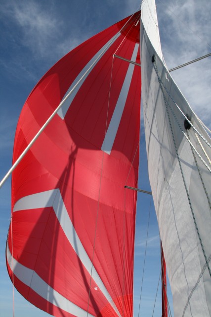 09 juil 18 spi (2).JPG