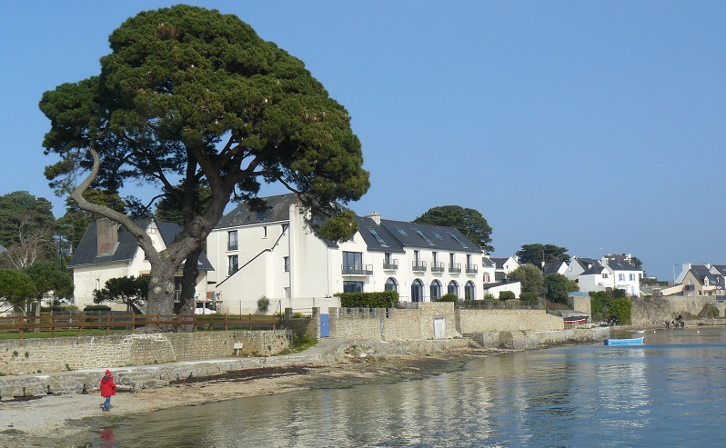 promenade de l'après midi